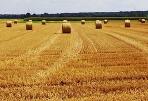 Wendland & Elbe Valley