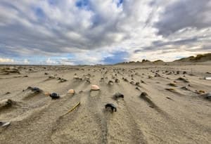 West Frisian Islands