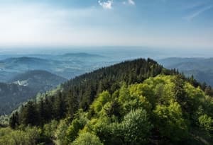 Northern Black Forest