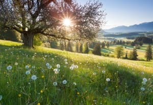 Eastern Bavaria