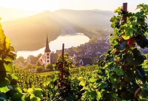 Rhineland-Palatinate