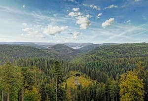 Southern Black Forest