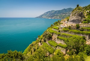 Campania